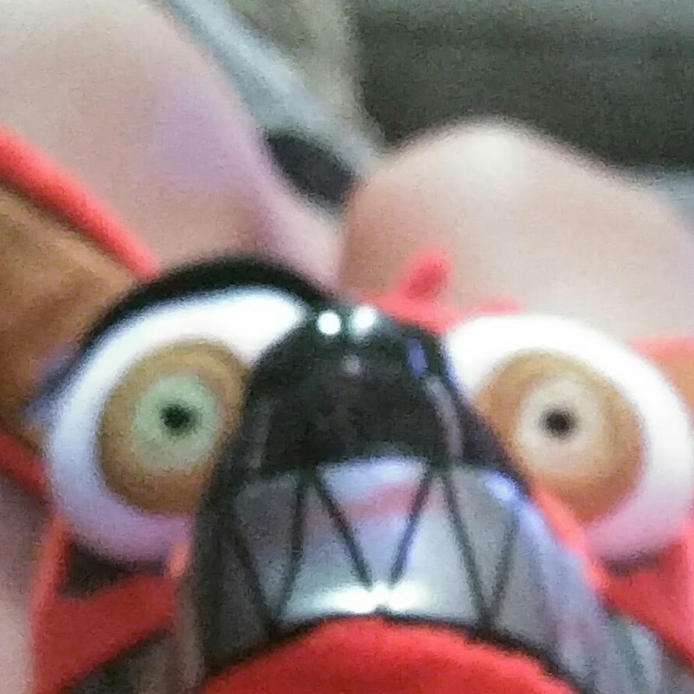 Meet your Posher, Samantha